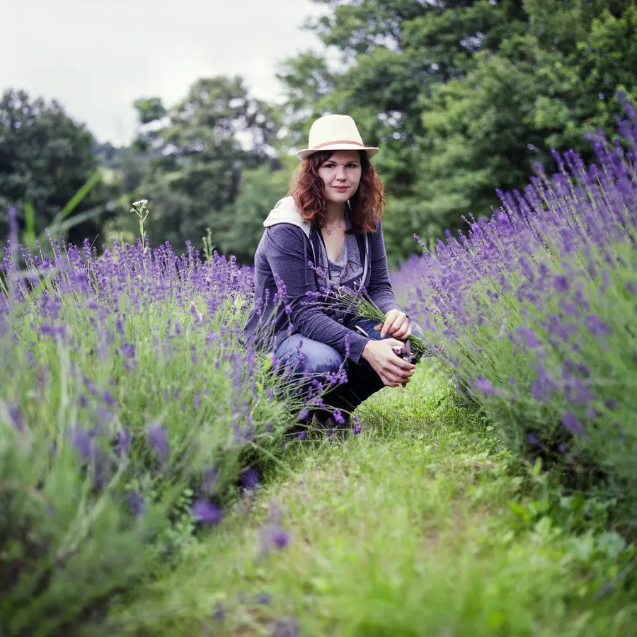FUJIFILM PRO 160NS 参考照片:Pick your own lavender,摄影 brenkee